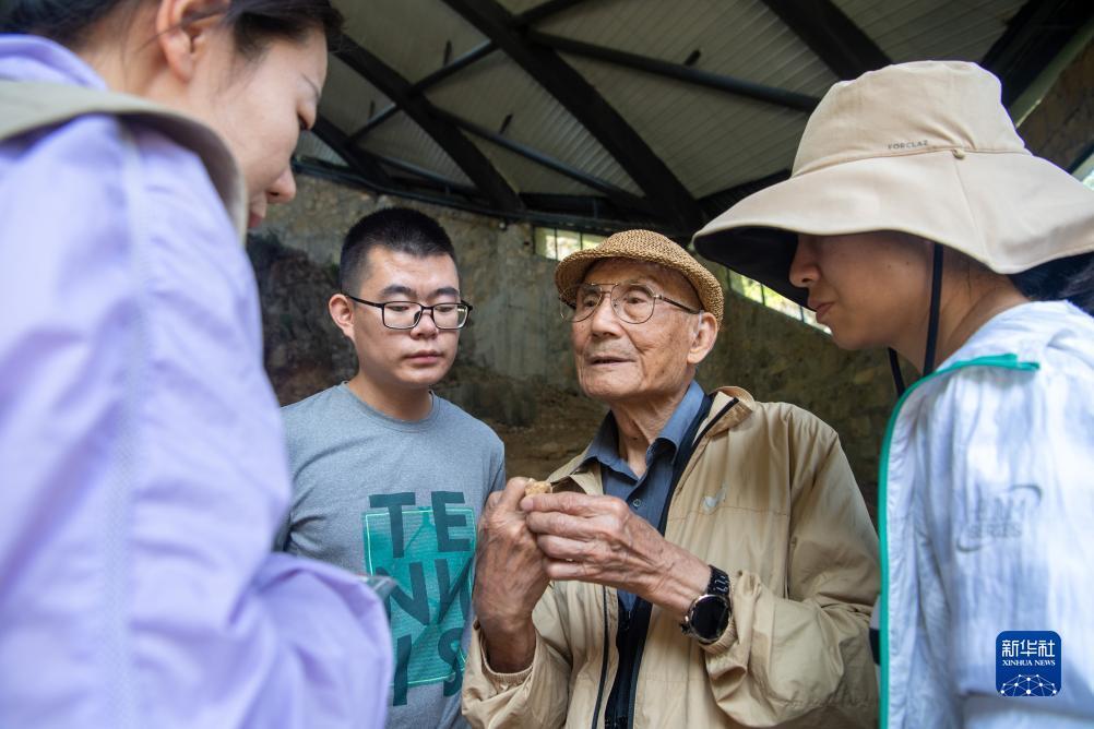 送白菜网址